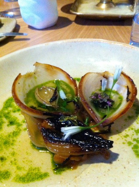 Burnt onions in gin, apple and thyme jus