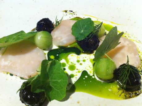 Scallop ceviche with cucumber balls, some covered in dill ash