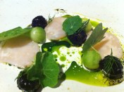 Scallop ceviche with cucumber balls, some covered in dill ash