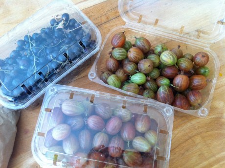 Laverstoke Park Farm organic, biodynamic blackcurrants and gooseberries