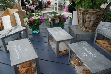 Biscuit displays the Rosendals Tradgard way