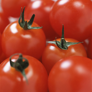 high_tomatoes-sml[1]