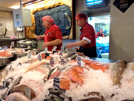 Severn & Wye fish counter featuring local Var salmon