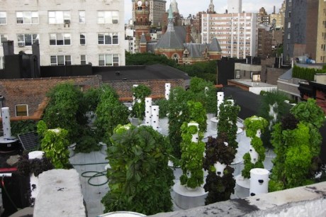 Bello, Book and Candle rooftop garden