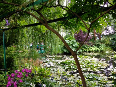 The famous water lily pond taken from an angle trying to avoid tourist central