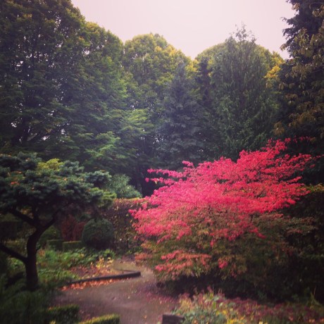 Stunning gardens in the cemeteries